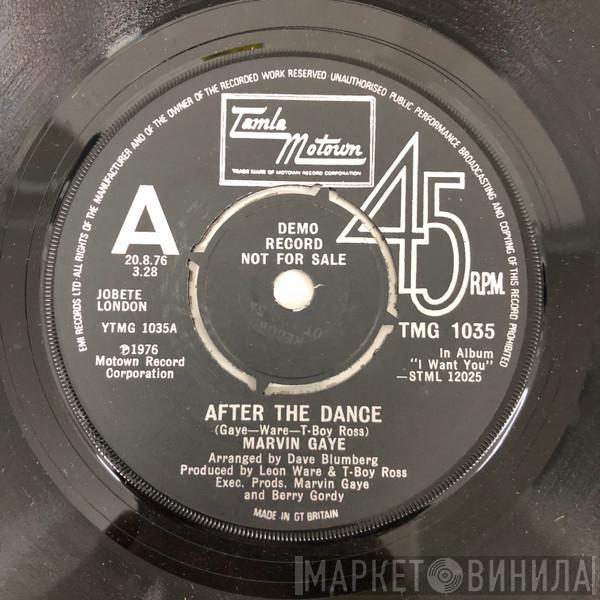  Marvin Gaye  - After The Dance
