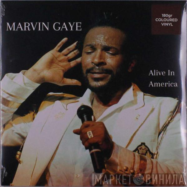 Marvin Gaye - Alive In America