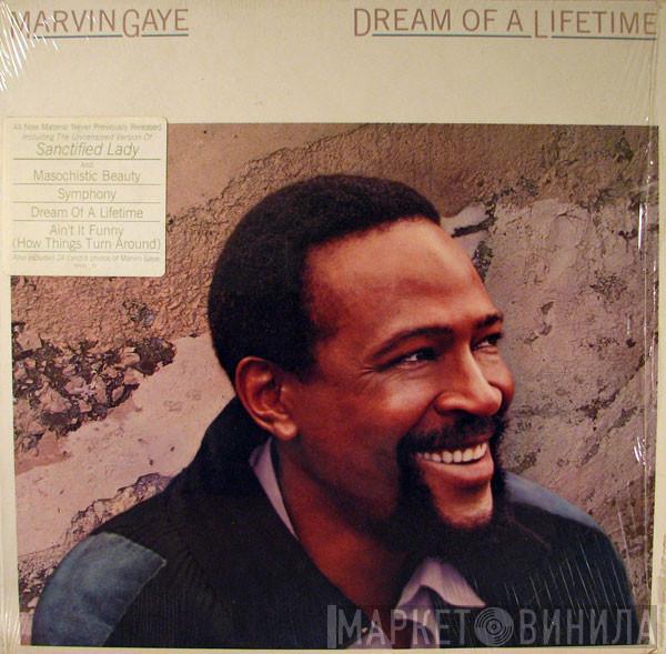  Marvin Gaye  - Dream Of A Lifetime