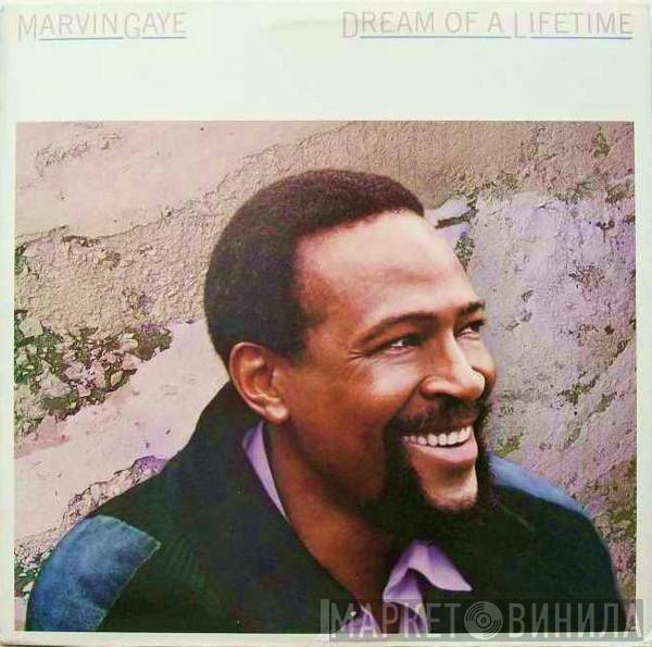  Marvin Gaye  - Dream Of A Lifetime