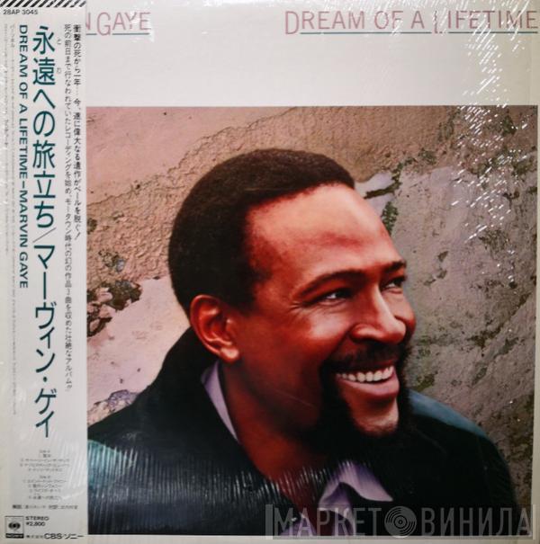  Marvin Gaye  - Dream Of A Lifetime