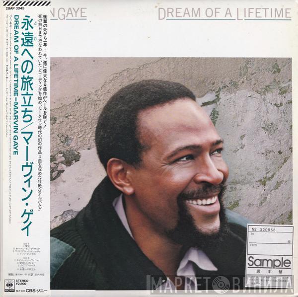  Marvin Gaye  - Dream Of A Lifetime