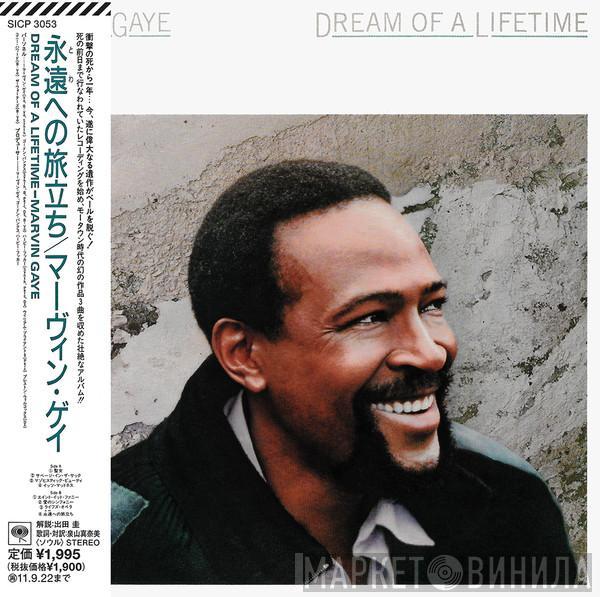  Marvin Gaye  - Dream Of A Lifetime