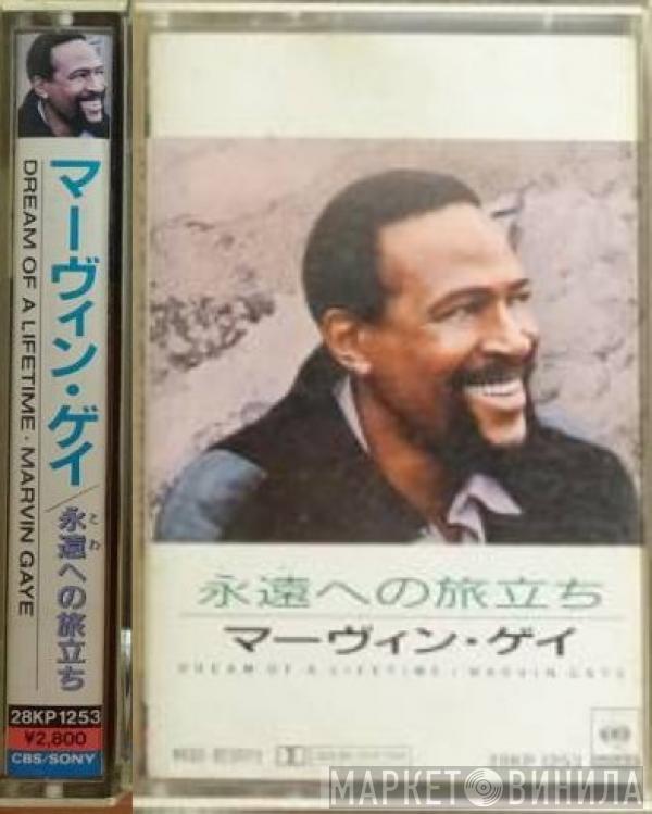  Marvin Gaye  - Dream Of A Lifetime