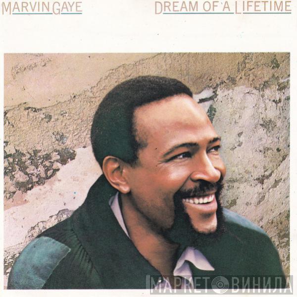  Marvin Gaye  - Dream Of A Lifetime