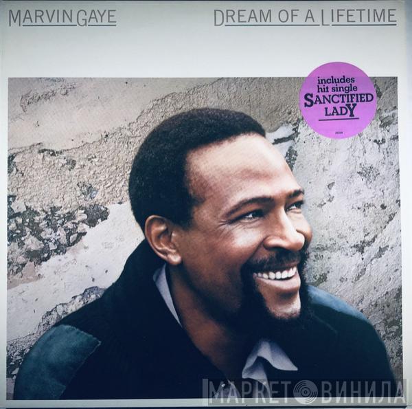  Marvin Gaye  - Dream Of A Lifetime