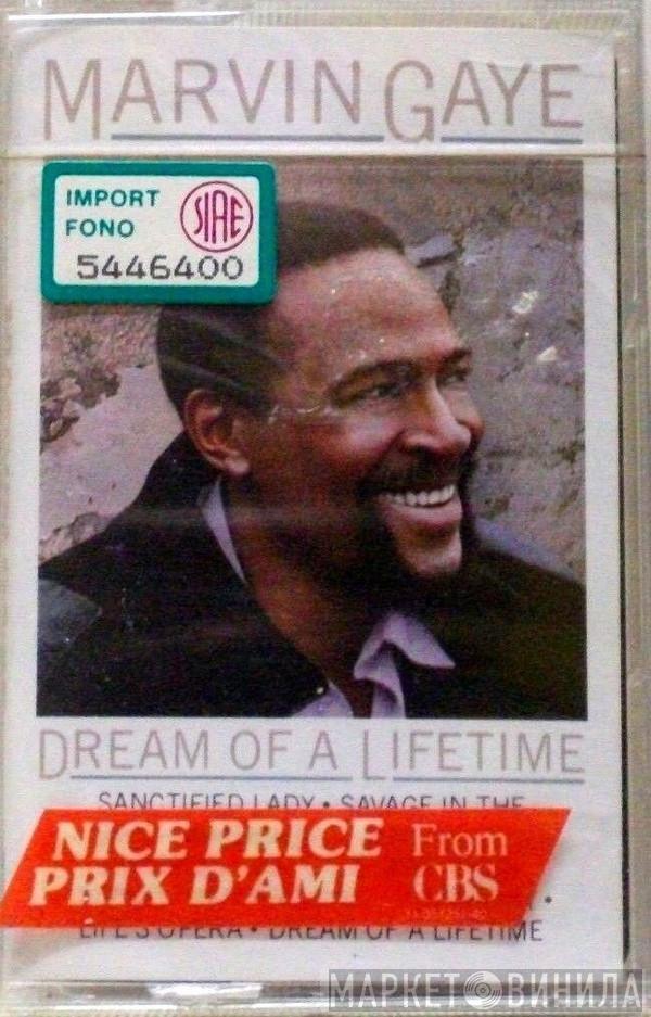  Marvin Gaye  - Dream Of A Lifetime