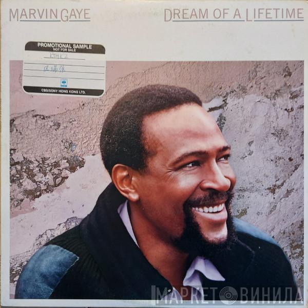  Marvin Gaye  - Dream Of A Lifetime