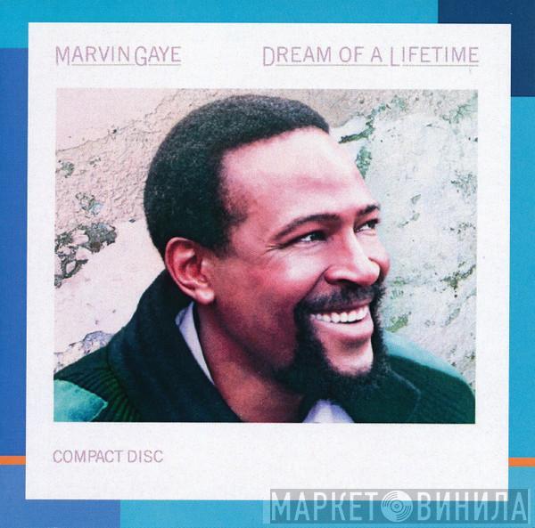  Marvin Gaye  - Dream Of A Lifetime