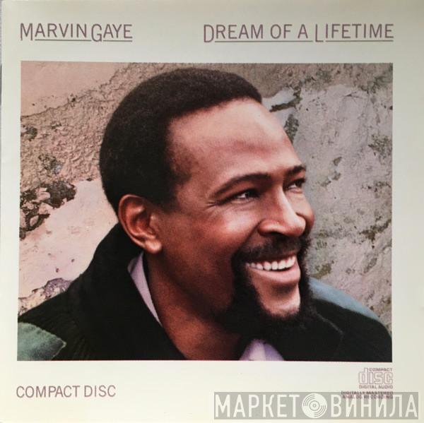  Marvin Gaye  - Dream Of A Lifetime