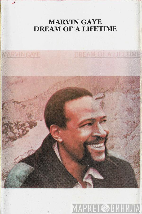  Marvin Gaye  - Dream Of A Lifetime