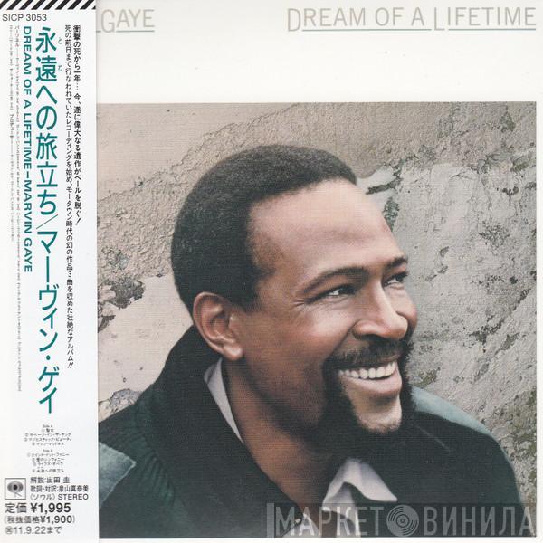  Marvin Gaye  - Dream Of A Lifetime