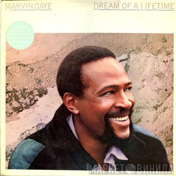 Marvin Gaye - Dream Of A Lifetime