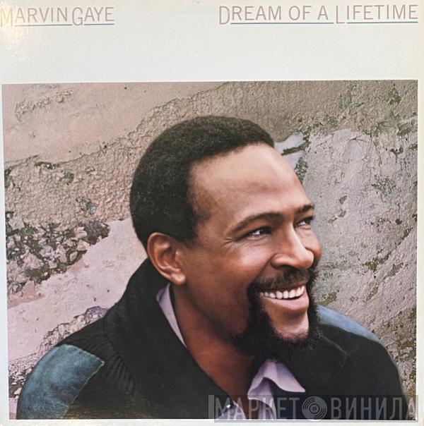 Marvin Gaye - Dream Of A Lifetime