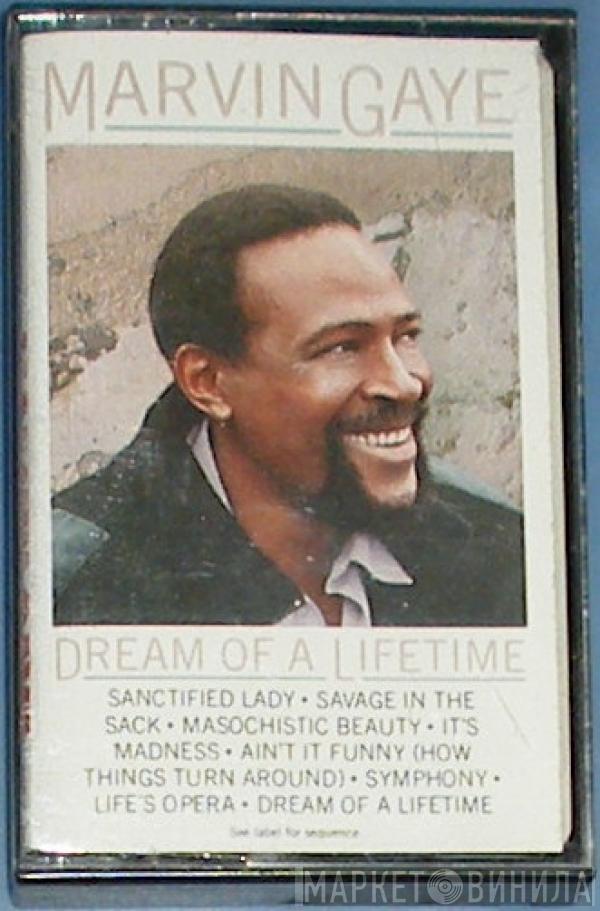  Marvin Gaye  - Dream Of A Lifetime