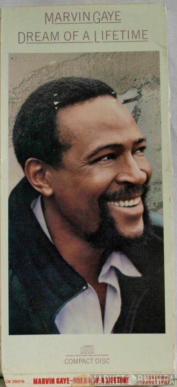  Marvin Gaye  - Dream Of A Lifetime