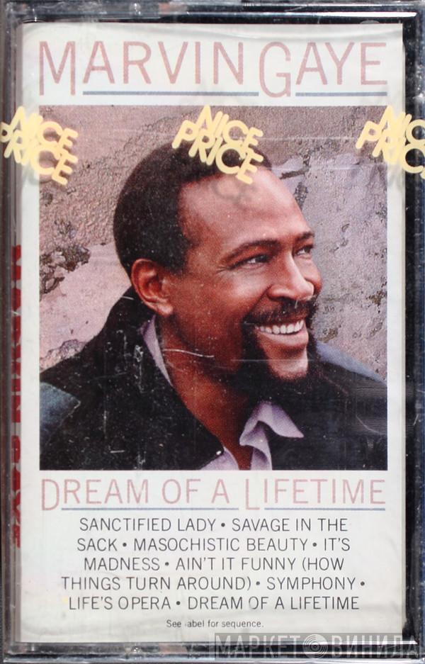  Marvin Gaye  - Dream Of A Lifetime