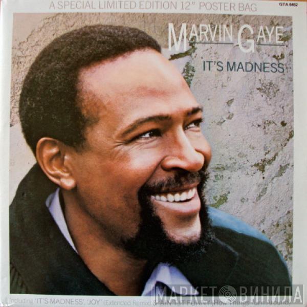 Marvin Gaye - It's Madness