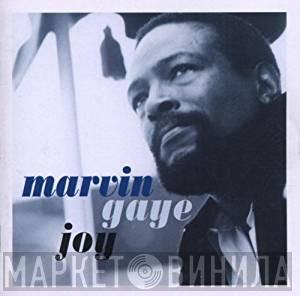  Marvin Gaye  - Joy