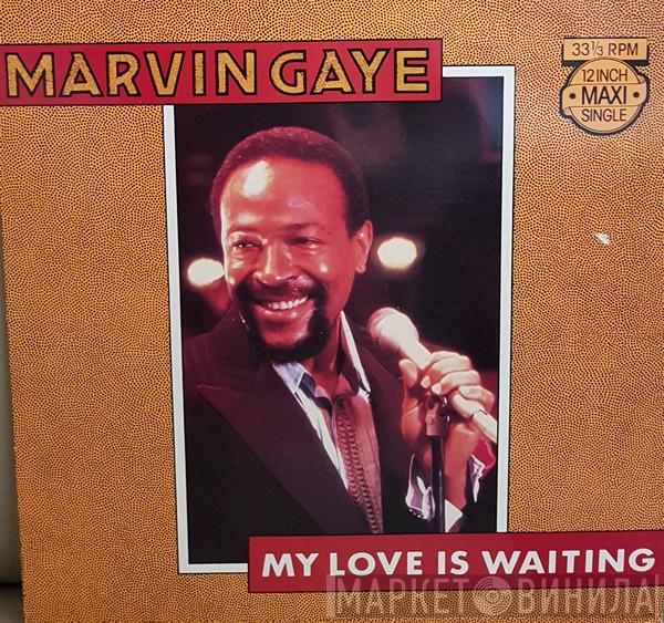 Marvin Gaye - My Love Is Waiting