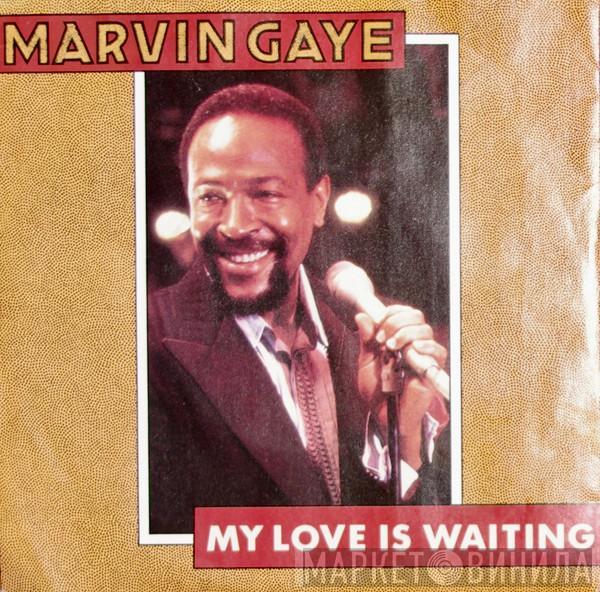 Marvin Gaye - My Love Is Waiting