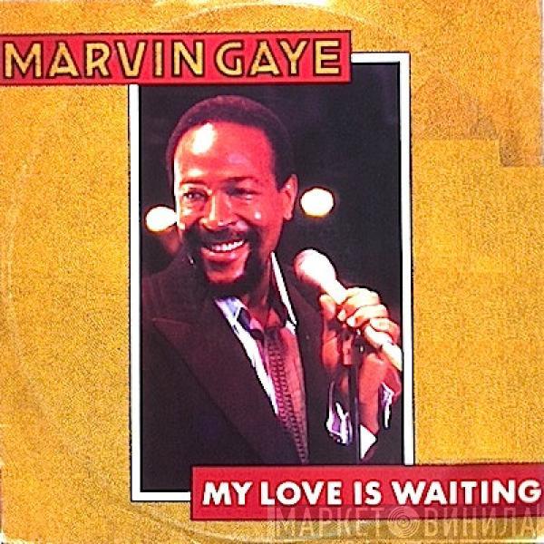 Marvin Gaye - My Love Is Waiting