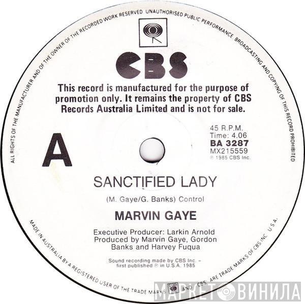 Marvin Gaye  - Sanctified Lady