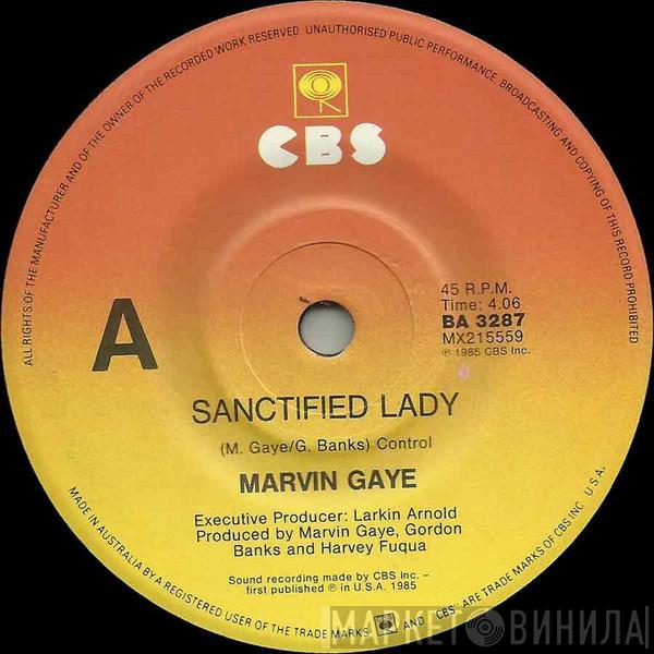  Marvin Gaye  - Sanctified Lady