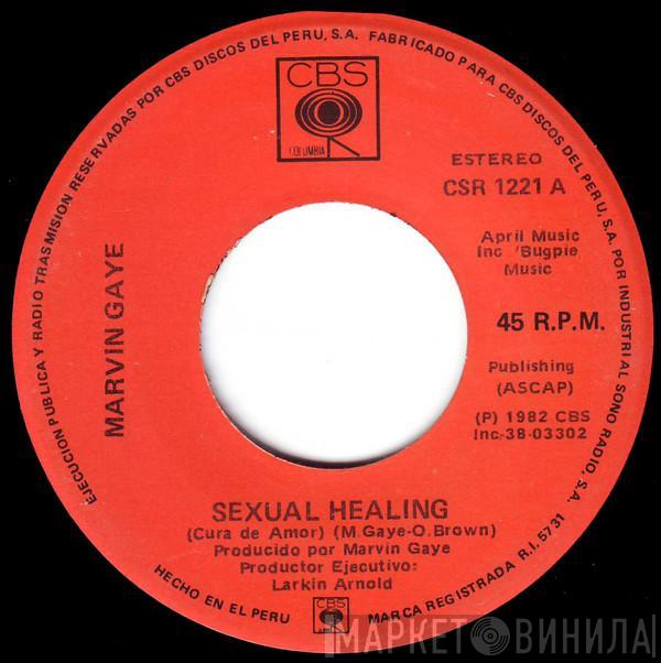  Marvin Gaye  - Sexual Healing = Cura De Amor