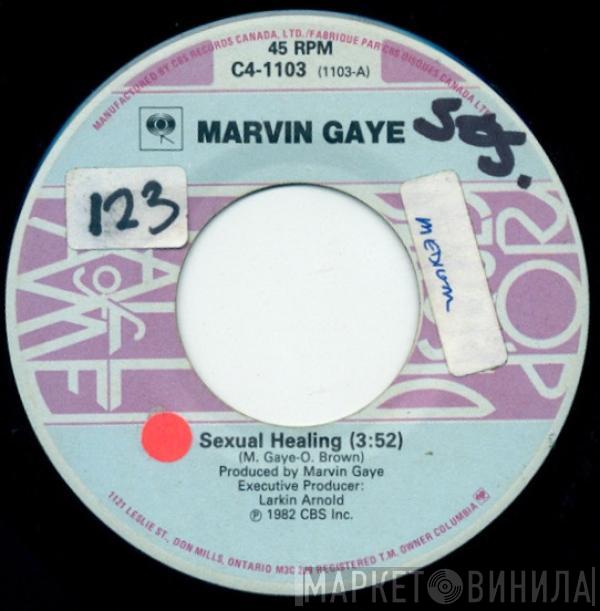  Marvin Gaye  - Sexual Healing