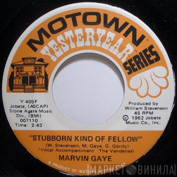 Marvin Gaye - Stubborn Kind Of Fellow / Hitch Hike