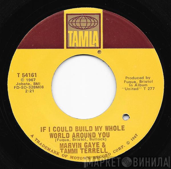 Marvin Gaye, Tammi Terrell - If I Could Build My Whole World Around You