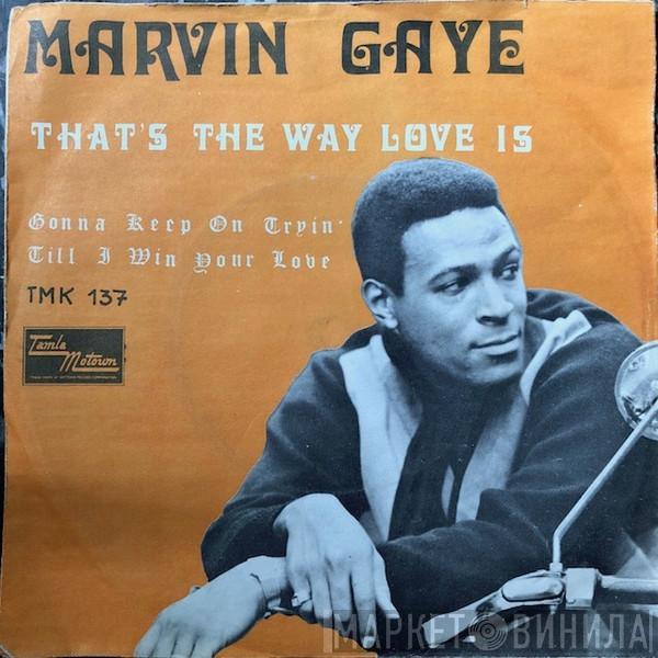  Marvin Gaye  - That's The Way Love Is