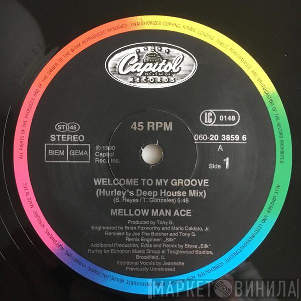 Mellow Man Ace - Welcome To My Groove