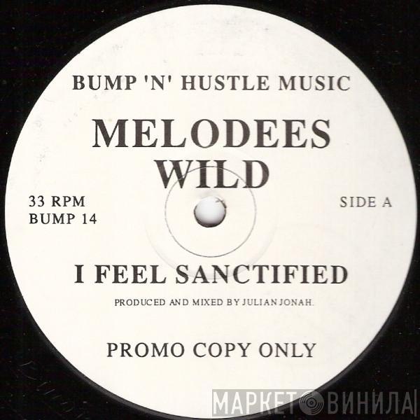 Melodees Wild - I Feel Sanctified