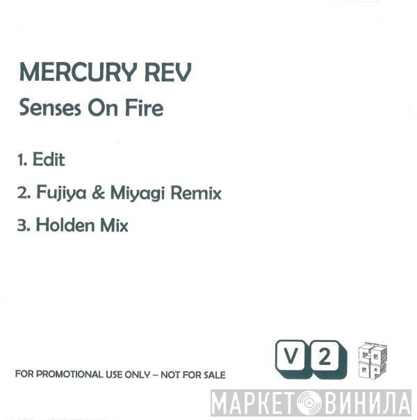  Mercury Rev  - Senses On Fire