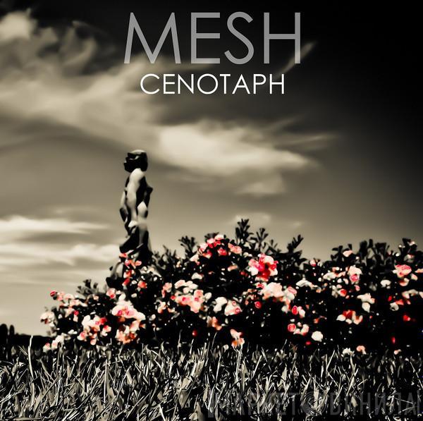 Mesh  - Cenotaph
