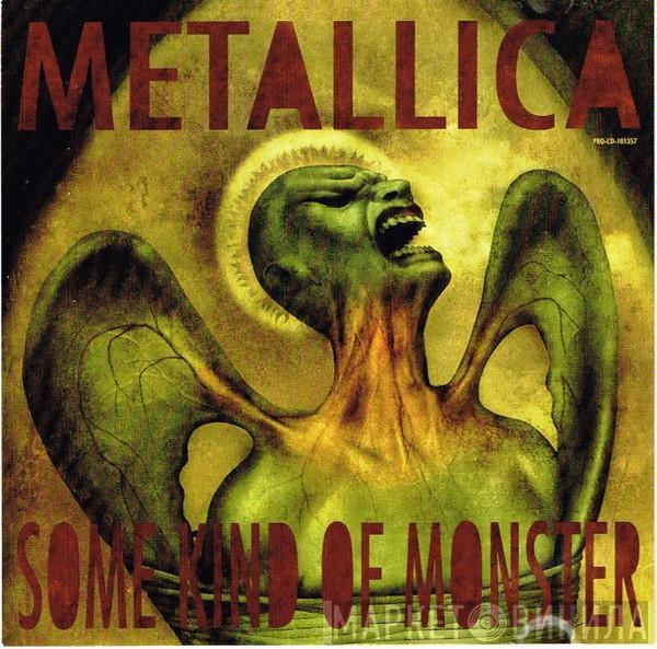  Metallica  - Some Kind Of Monster