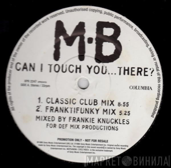 Michael Bolton - Can I Touch You…There?