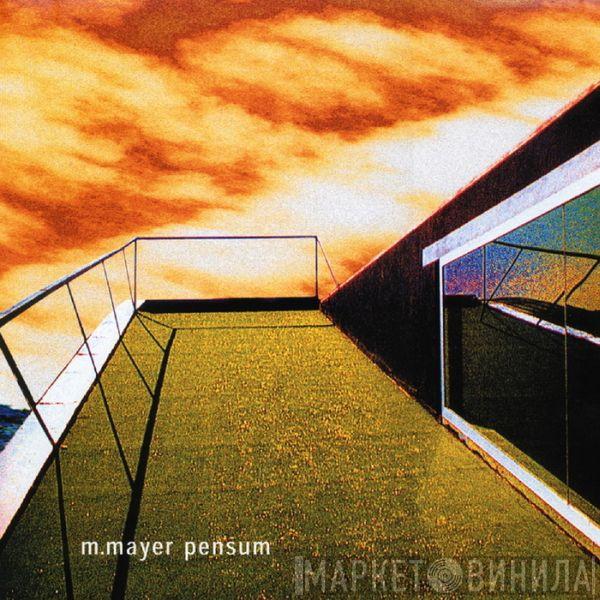 Michael Mayer - Pensum