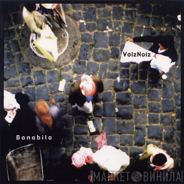 Michel Banabila - VoizNoiz