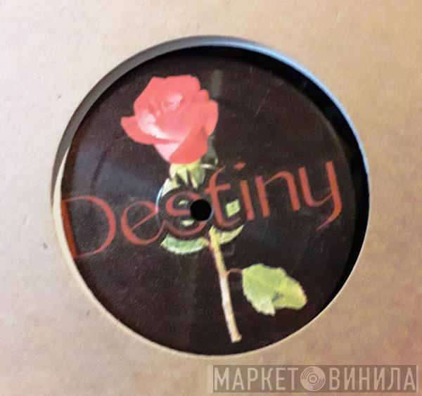 Michel De Hey - Destiny