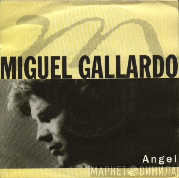 Miguel Gallardo - Angel