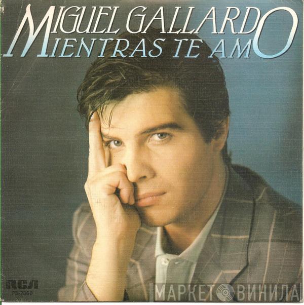 Miguel Gallardo - Mientras Te Amo