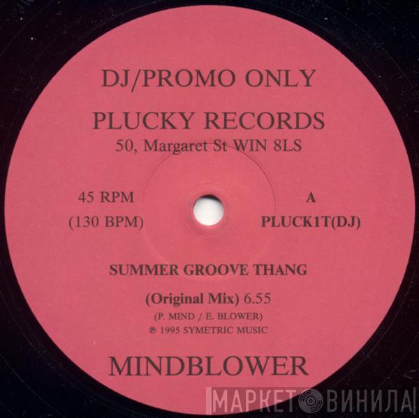 Mindblower  - Summer Groove Thang