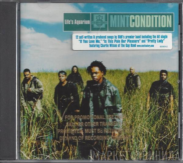 Mint Condition - Life's Aquarium