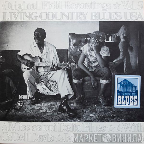  - Mississippi Delta Blues