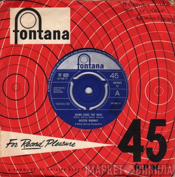 Mitch Murray - Down Came The Rain