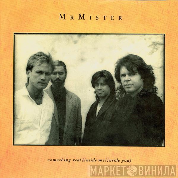  Mr. Mister  - Something Real (Inside Me / Inside You)