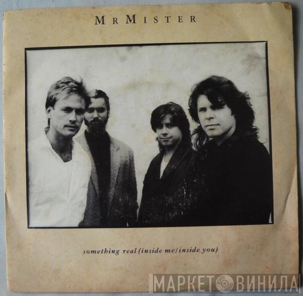  Mr. Mister  - Something Real (Inside Me / Inside You)